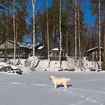 Lokki *