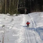 Lokki * Parikkala