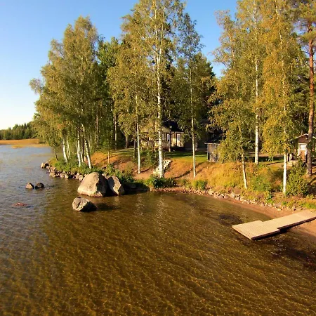 Lokki *