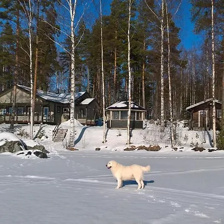 Lokki *