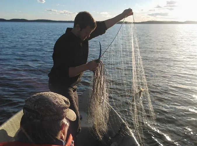 Lokki * 帕里卡拉