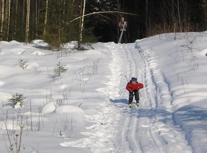 Lokki * 帕里卡拉